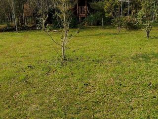 Foto 7 de *¡Oportunidad única en El Soberbio, Misiones!*