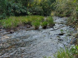 Foto 10 de *¡Oportunidad única en El Soberbio, Misiones!*