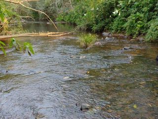 Foto 13 de *¡Oportunidad única en El Soberbio, Misiones!*