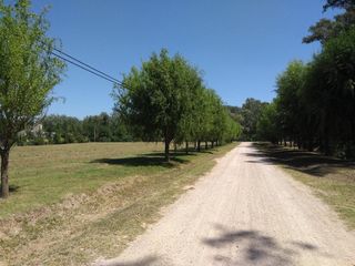 Foto 5 de Terreno en venta - 2400mts2 - Campos de Roca II, Coronel Brandsen