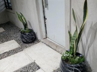 Foto 26 de Casa en venta - 1 Dormitorio 1 Baño - Cochera - 330Mts2 - El Pato, Berazategui