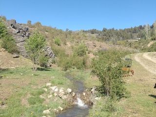 Foto 6 de Casa en  Lago Carlos Pellegrini