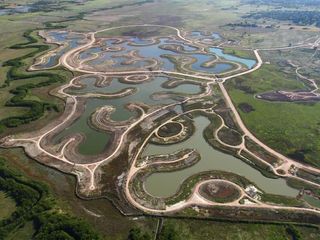 Foto 4 de Encantador lote al bosque en venta en San Sebastián, área 1
