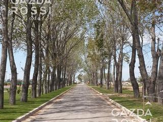 Foto 1 de EXCELENTE LOTE A LA VENTA EN LA ALAMEDA!