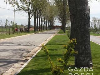 Foto 7 de EXCELENTE LOTE A LA VENTA EN LA ALAMEDA!