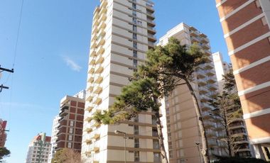 similar_image