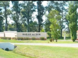 Foto 9 de Terreno en venta - 1.330mts2 - Haras Del Sur I