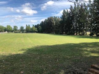 Foto 13 de Terreno en venta - 960mts2 - Haras del Sur II