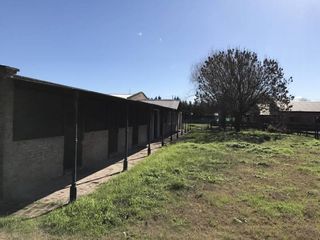 Foto 8 de Oportunidad Alquiler Chacra con Caballerizas - Zona Pilará - Mallmann Propiedades