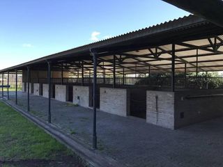 Foto 1 de Oportunidad Alquiler Chacra con Caballerizas - Zona Pilará - Mallmann Propiedades