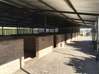 Foto 4 de Oportunidad Alquiler Chacra con Caballerizas - Zona Pilará - Mallmann Propiedades
