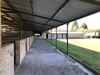 Foto 2 de Oportunidad Alquiler Chacra con Caballerizas - Zona Pilará - Mallmann Propiedades