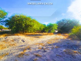 Foto 5 de FINCA   TERRENO LORO HUASI - SANTA MARIA - CATAMARCA