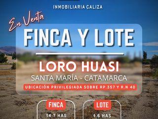 Foto 1 de FINCA   TERRENO LORO HUASI - SANTA MARIA - CATAMARCA
