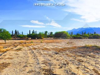 Foto 17 de FINCA   TERRENO LORO HUASI - SANTA MARIA - CATAMARCA