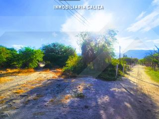 Foto 6 de FINCA   TERRENO LORO HUASI - SANTA MARIA - CATAMARCA