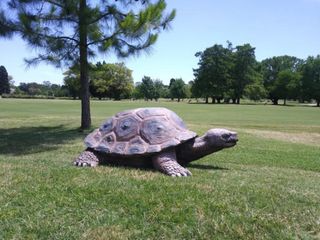 Foto 10 de Casa en  alquiler en Tortugas Country Club