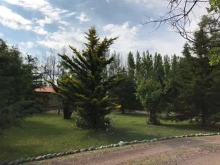 Foto 24 de Casa en venta - 5 Dormitorios 3 Baños - Cocheras - 30.780Mts2 - Rama Caída, San Rafael