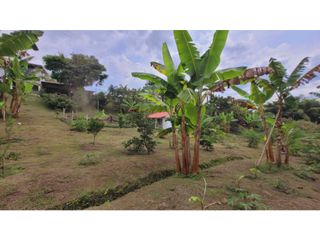 Foto 11 de SE VENDE CASA CAMPESTRE EN EL CAIMO QUINDIO