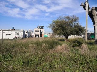 Foto 4 de Terreno en venta - 300mts2 - Villa Elvira, La Plata