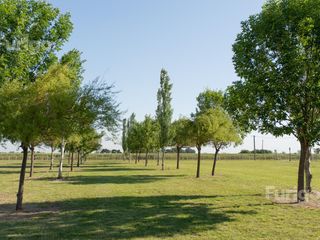Foto 7 de Terreno en Soldini, Barrio Las Pérgolas