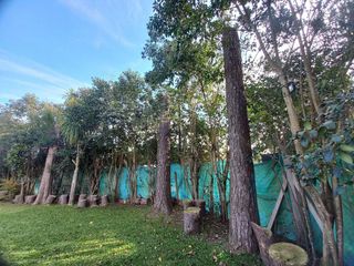Foto 12 de Casa quinta en venta - 2 dormitorios 1 baño - 690mts2 - Arturo Seguí, La Plata