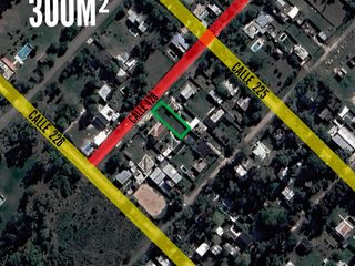 Foto 1 de Terreno en venta - 300 mts2 - Arturo Seguí