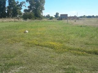 Foto 7 de Terreno en venta - 875mts2 - Coronel Brandsen