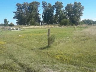 Foto 5 de Terreno en venta - 875mts2 - Coronel Brandsen