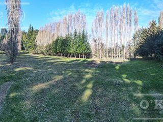 Foto 11 de Departamento 2 ambientes en  venta en Amarras del Nahuel km14 Bariloche