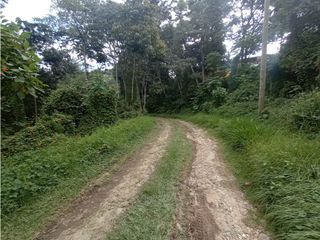 Foto 21 de Casa en Arriendo Vereda Sajonia Rionegro