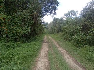 Foto 17 de Casa en Arriendo Vereda Sajonia Rionegro
