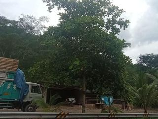 Foto 6 de Venta De Terreno En Villa Rica
