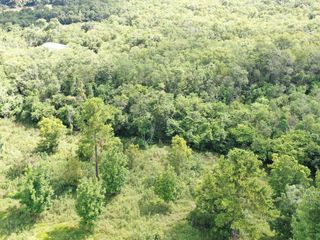 Foto 2 de Se vende Chacra de 25 ha con 2 Casas, perforación, laguna, galpon y   en Cerro Corá