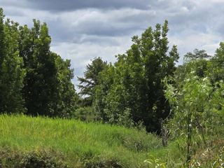 Foto 12 de Se vende Chacra de 25 ha con 2 Casas, perforación, laguna, galpon y   en Cerro Corá