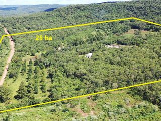 Foto 1 de Se vende Chacra de 25 ha con 2 Casas, perforación, laguna, galpon y   en Cerro Corá