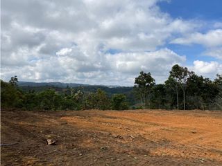 Foto 4 de ¡Hermoso Lote en Montegrande - Ideal para tu Proyecto! 🌿