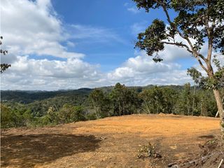 Foto 3 de ¡Hermoso Lote en Montegrande - Ideal para tu Proyecto! 🌿