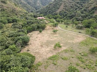 Foto 5 de Lote en venta Santa Fe de Antioquia totalmente plano