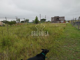 Foto 5 de Terreno / Lote en venta de 700m2 ubicado en Campo Quijano