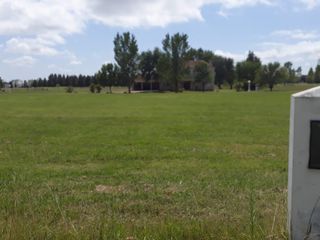 Foto 1 de Terreno en club de campo Puerto Chascomús