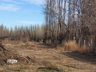Foto 5 de HECTAREAS EN RIO COLORADO,ZONA AEROPUERTO NEUQUEN