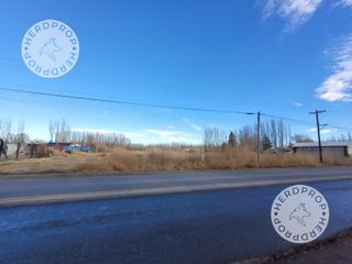 Foto 2 de HECTAREAS EN RIO COLORADO,ZONA AEROPUERTO NEUQUEN