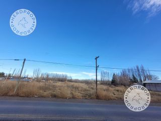 Foto 1 de HECTAREAS EN RIO COLORADO,ZONA AEROPUERTO NEUQUEN