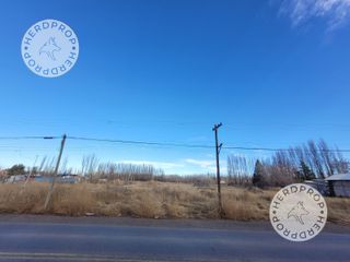 Foto 3 de HECTAREAS EN RIO COLORADO,ZONA AEROPUERTO NEUQUEN
