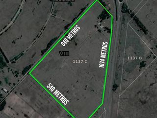 Foto 19 de Campo en venta - 31Ha - Brandsen-Ruta 2 km 90