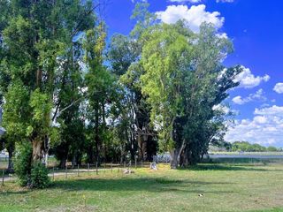 Foto 17 de Campo en venta - 31Ha - Brandsen-Ruta 2 km 90