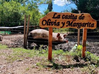 Foto 2 de Campo en venta - 31Ha - Brandsen-Ruta 2 km 90