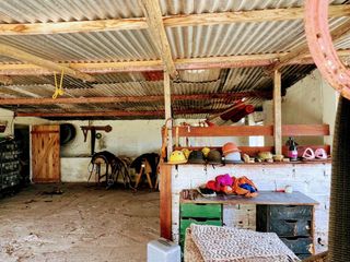Foto 6 de Campo en venta - 31Ha - Brandsen-Ruta 2 km 90