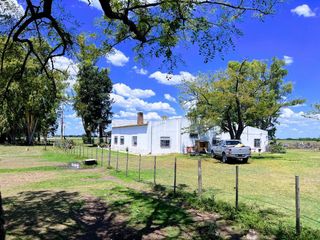 Foto 9 de Campo en venta - 31Ha - Brandsen-Ruta 2 km 90